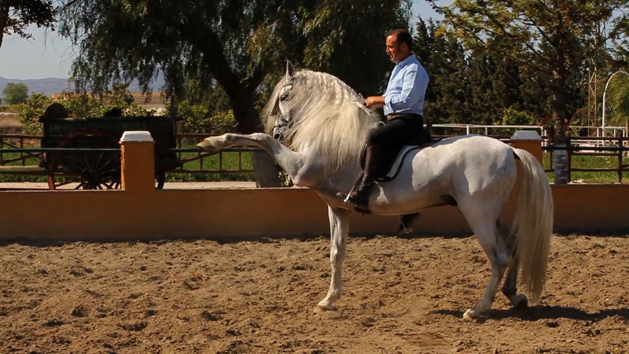 Paso español