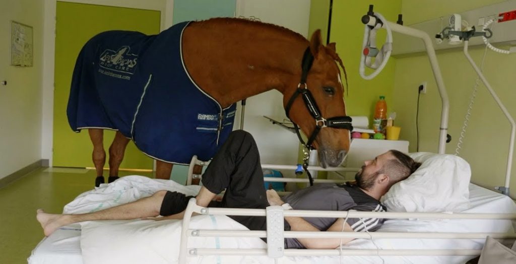 Caballo Peyo