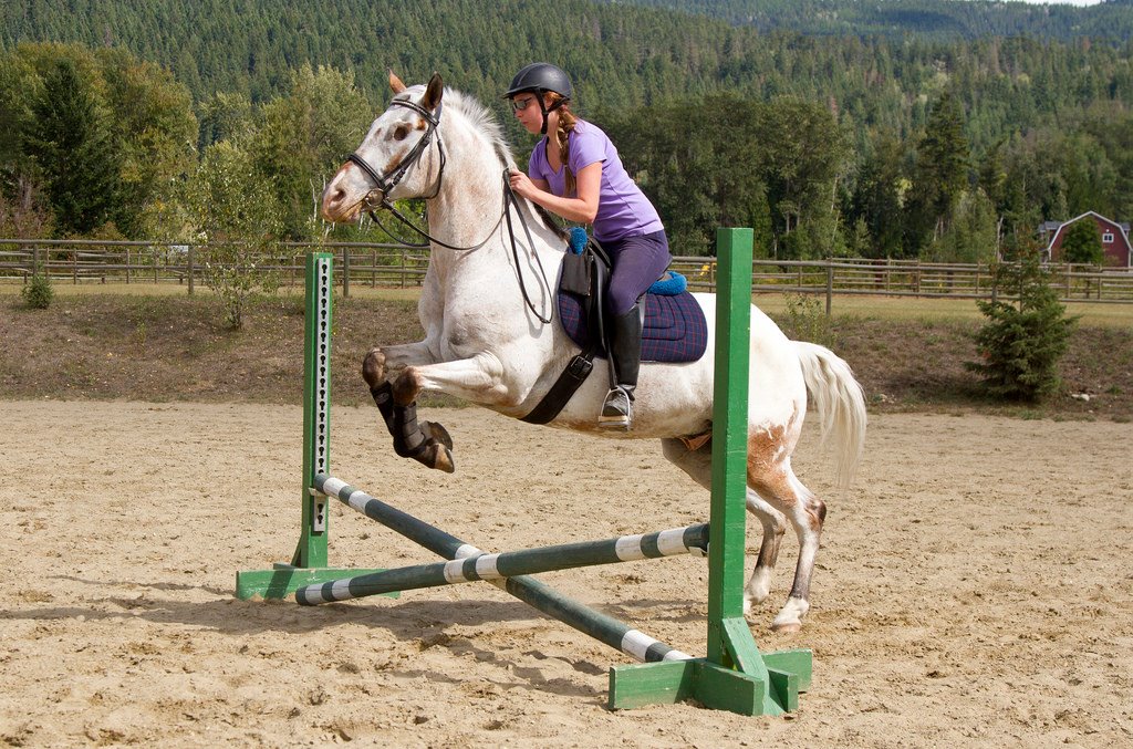 Endo el caballo ciego