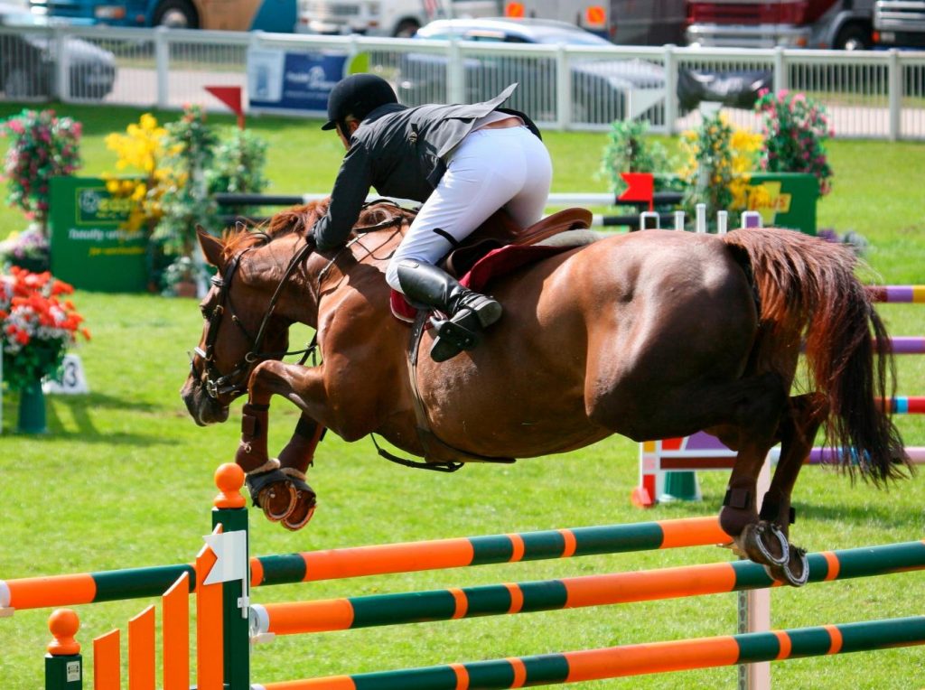 el caballo y el deporte
