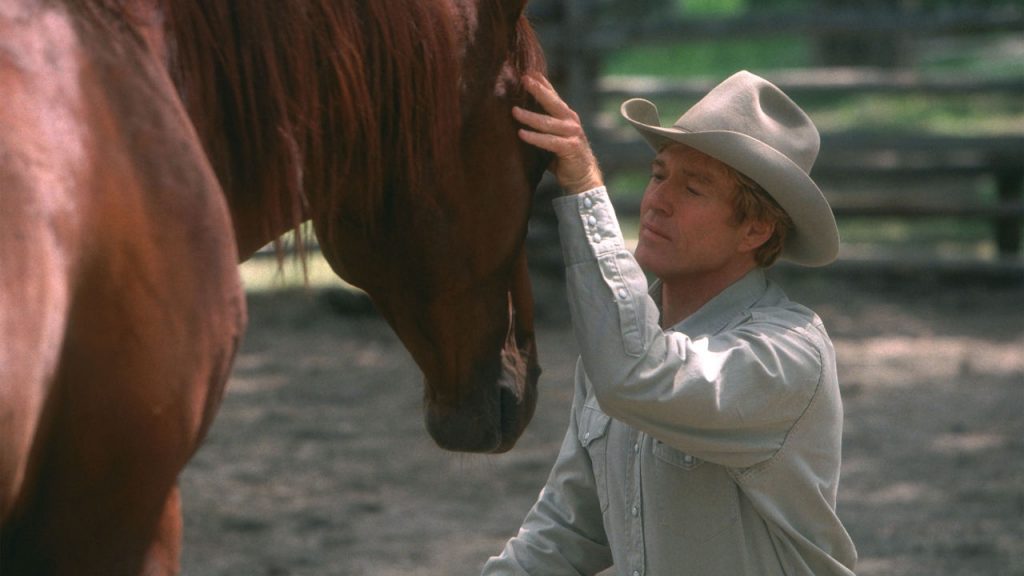 el caballo y su relación con el hombre