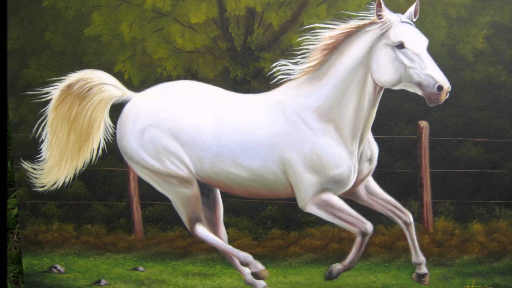 el carácter del caballo