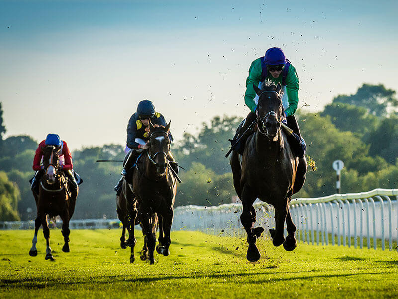 Hipódromo de Windsor