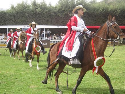 EL SUGERENTE ANDAR DE LOS CABALLOS