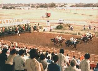 CARRERAS  DE CABALLOS EN MARACAIBO