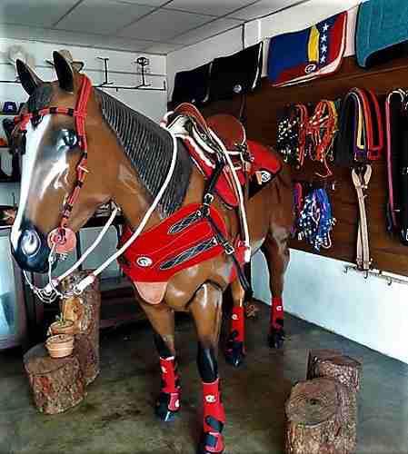 Tienda para quienes saben de caballos