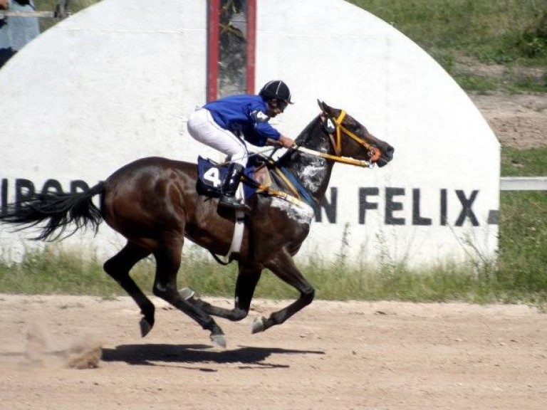 Hípódromo de San Felix