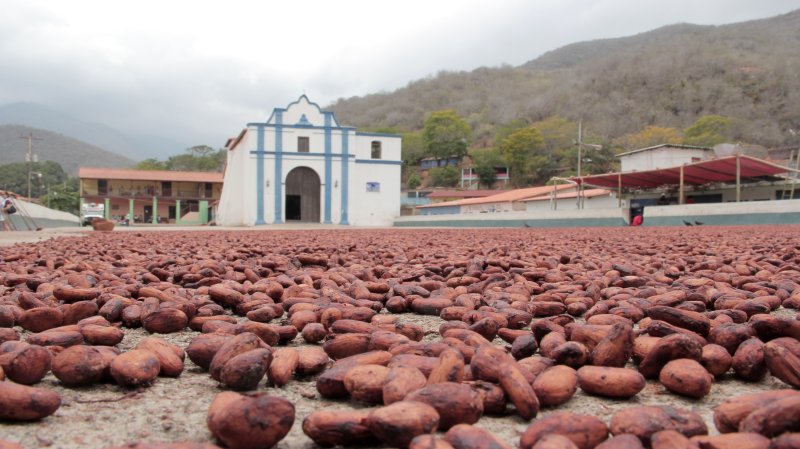 CHUAO, UN PUEBLO CON SABOR A CHOCOLATE