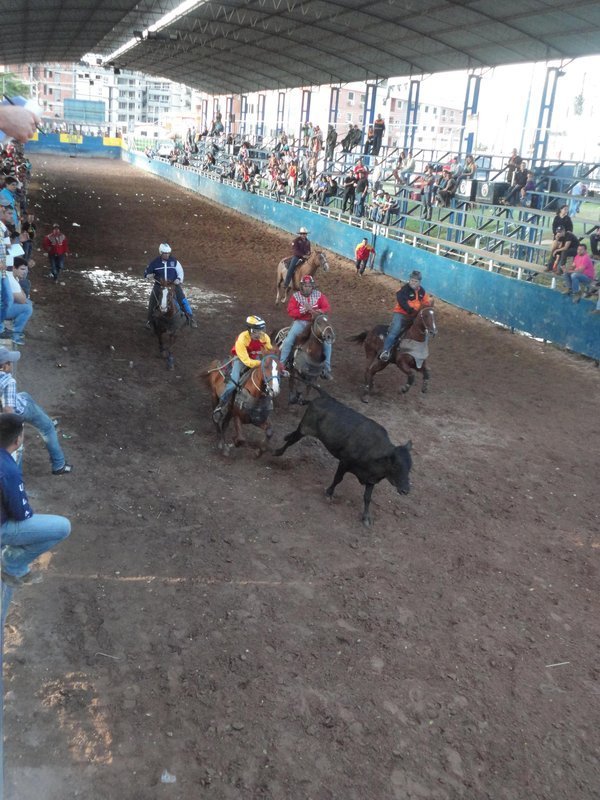 Caballos En La Feria De San Sebastian Gustavo Mirabal Gustavo Mirabal Mundo Ecuestre