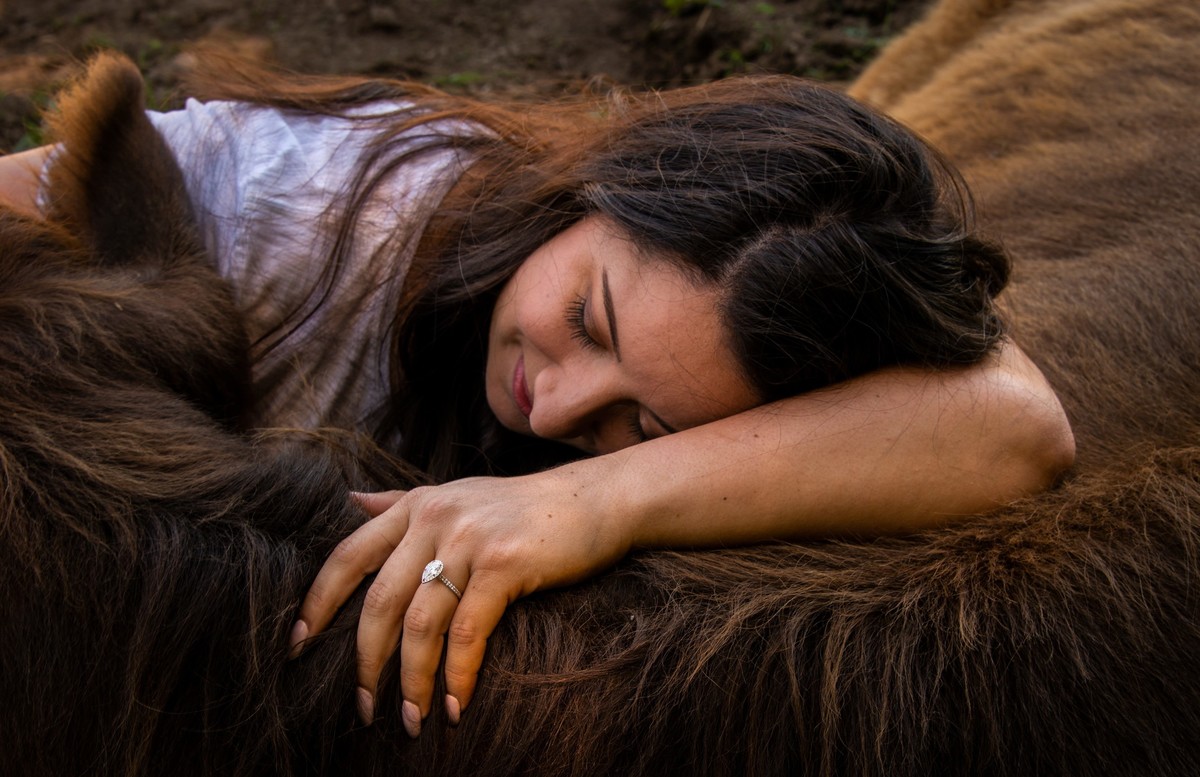 Terapia con vacas lo último para liberar estrés