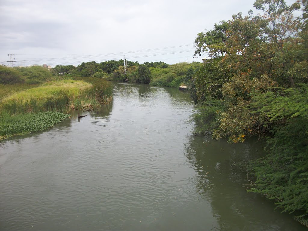 RÍO MANZANARES DÉJAME PASAR – GUSTAVO MIRABAL