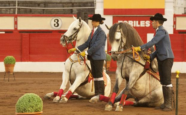 DANZA DE LOS CABALLOS