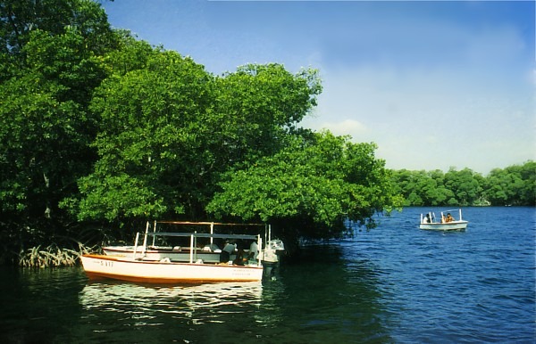 La Laguna La Restinga Gustavo Mirabal
