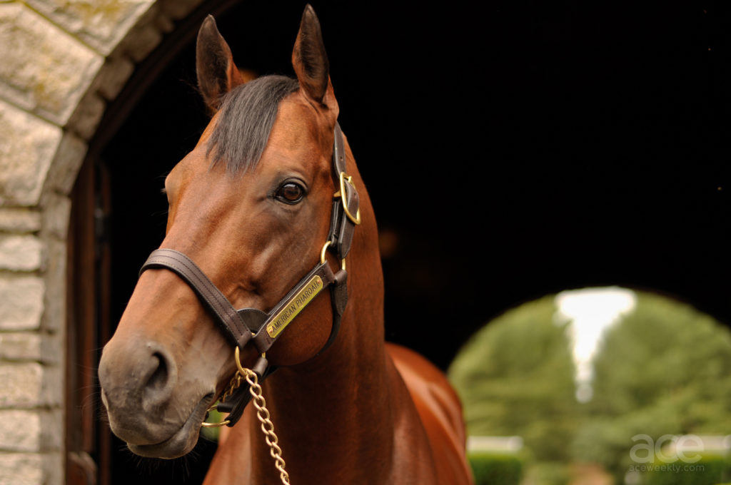 American Pharoah