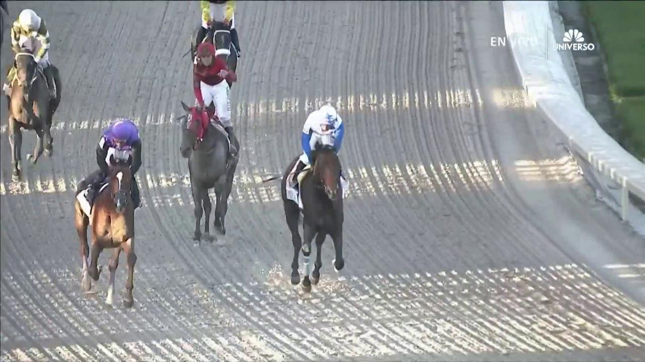 The Brother Slew gana el Clásico del Caribe 2019