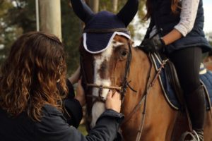 tips para montar un caballo