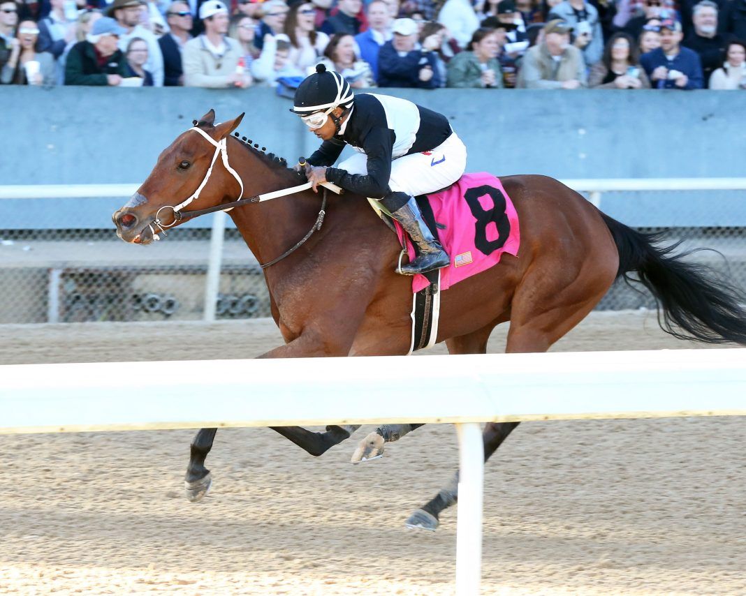 La Renoleta yegua argentina que venció a la muerte y triunfa en Estados Unidos | Gustavo Mirabal