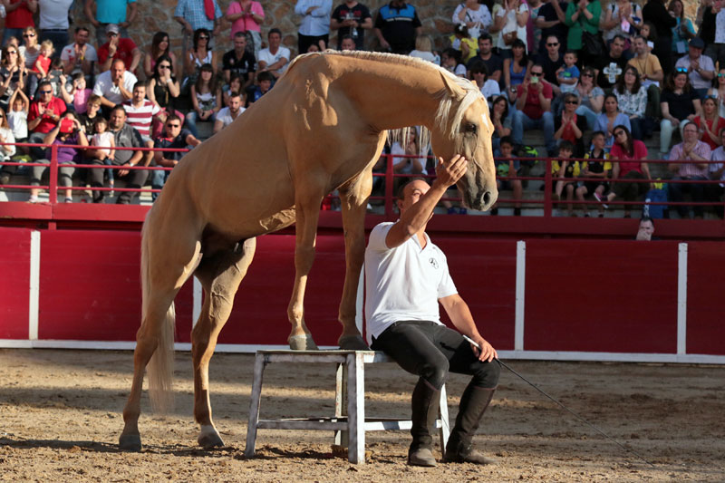 Toño Serrano domador de caballos