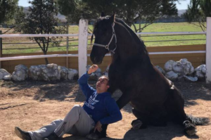 Toño Serrano domador de caballos