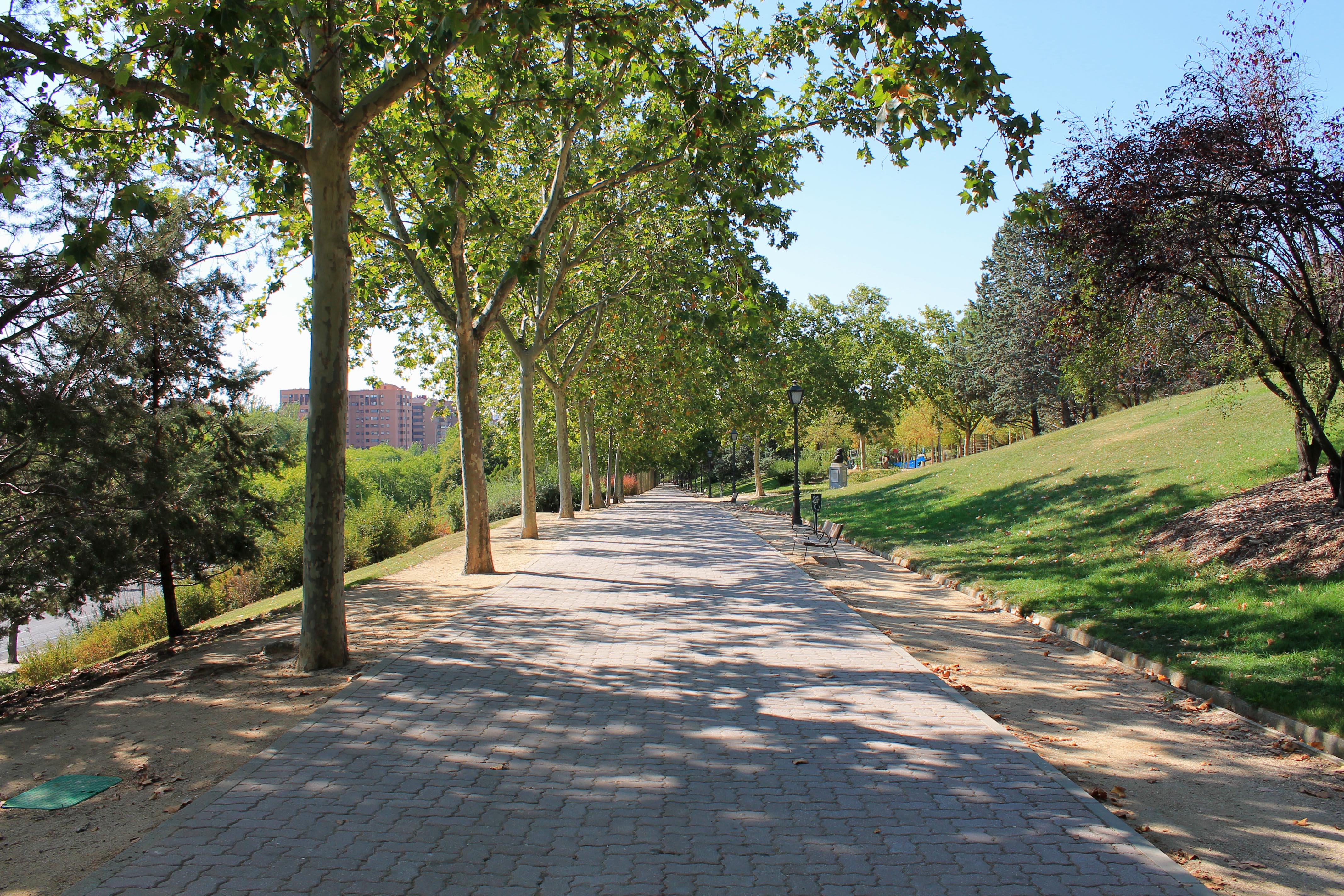 Guía rápida para el desconfinamiento de niños en España | Gustavo Mirabal