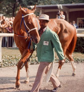 el mejor caballo de la historia