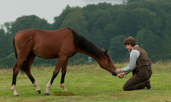 Cómo mejorar la relación con tu caballo 