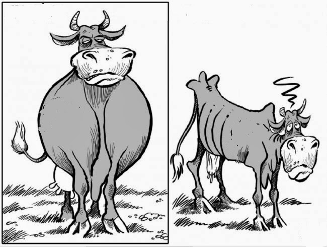 Las vacas gordas y las vacas flacas 