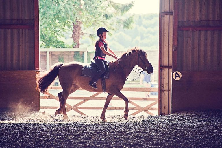 Beneficios de la equitación en niños | Gustavo Mirabal
