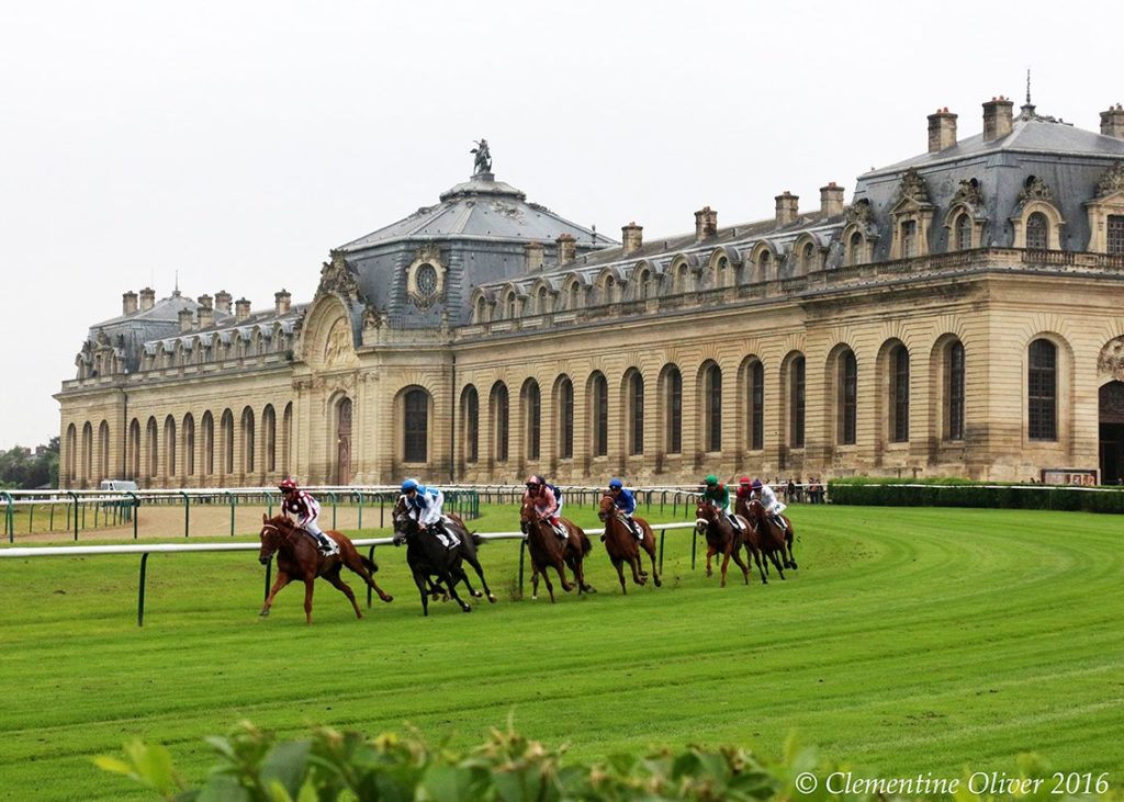 los caballos son prioridad en Francia