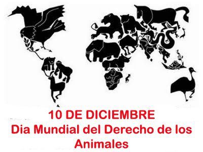 Día Internacional de los Derechos de los Animales