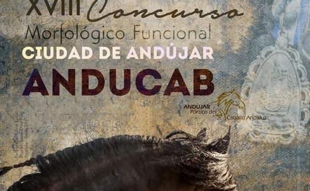 Concurso Morfológico Funcional Ciudad de Andújar - ANDUCAB 2022