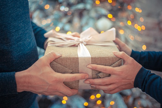 07 Razones para dar un regalo ecuestre en Navidad