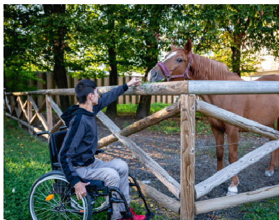 Caballo ideal para Equinoterapia