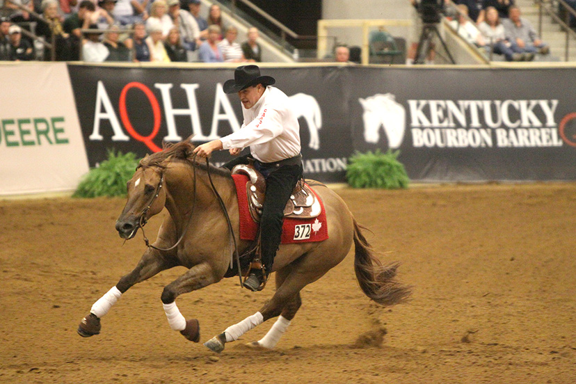 Disciplina ecuestre reining