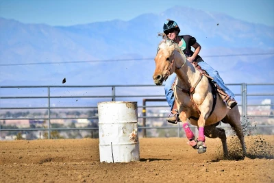 Rodeo de caballos: tradición, destreza y pasión ecuestre