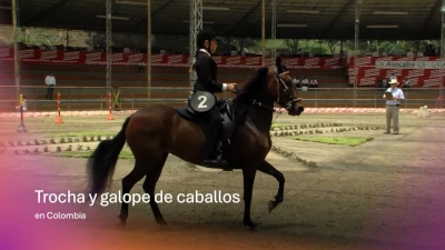Trocha y galope en Colombia