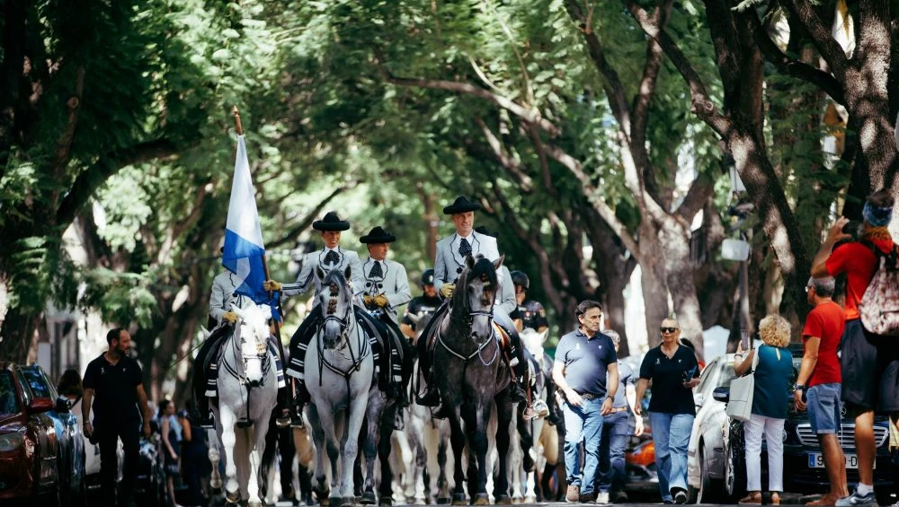 Parada hípica día Mundial del caballo 2025 en Jerez