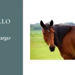 caballo oldenburgo